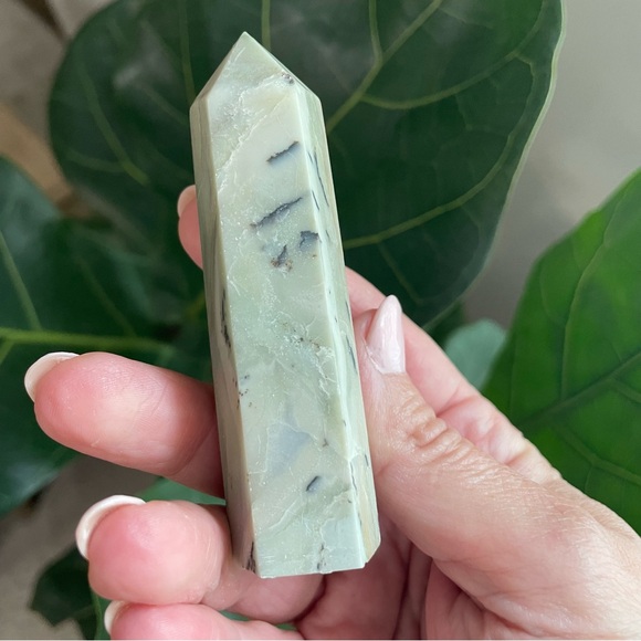 Four piece Crystal collection. Selenite, petrified wood, Amazon, Jasper, - Picture 5 of 7